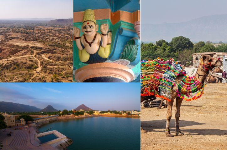 Pushkar Tour Packages Shree Tours: Why Pushkar Tours
