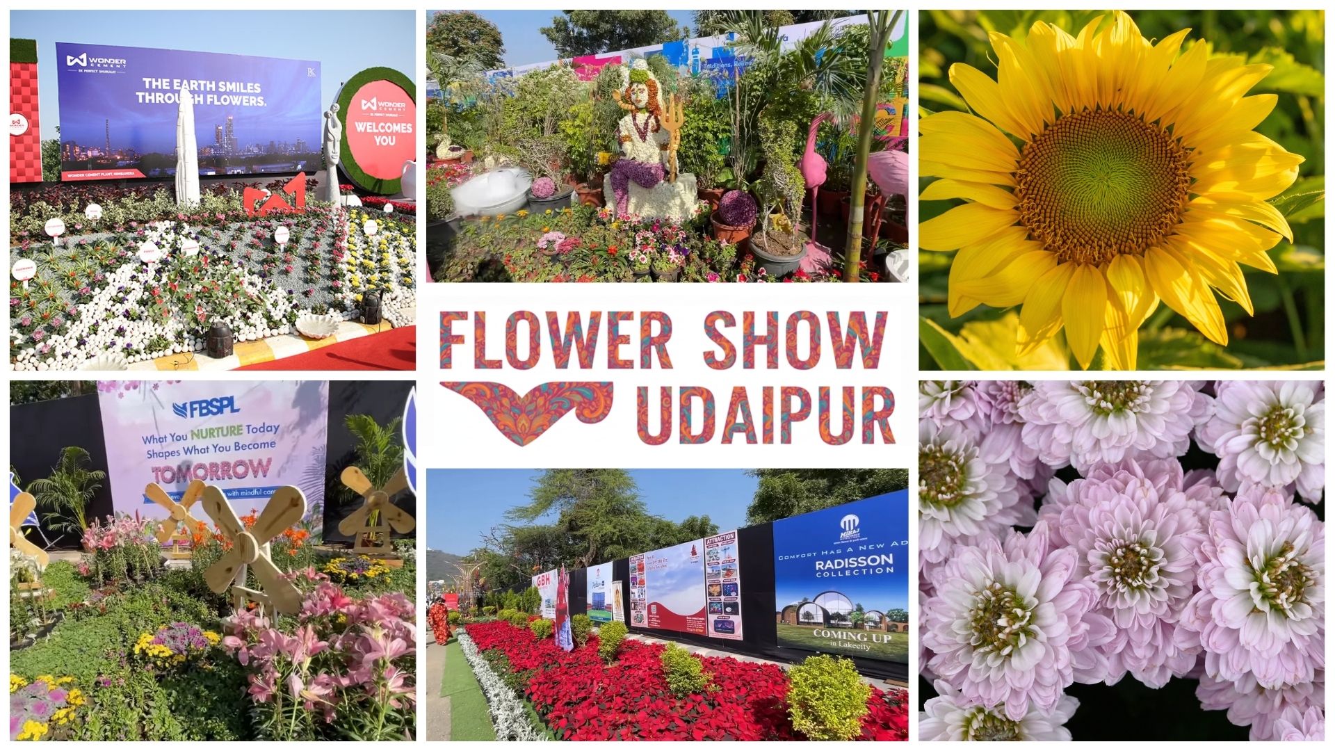 Flower Show Udaipur